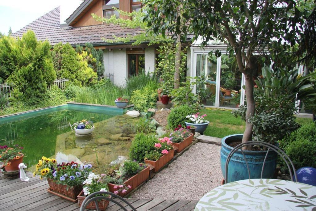 Bed & Breakfast Wepfer Grut Ngoại thất bức ảnh